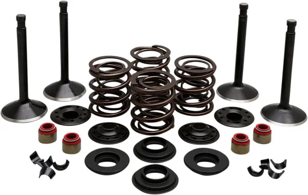 Pala Harley Davidson FL [KIBBLEWHITE] - Kit de válvulas del motor