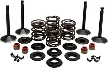 Pala Harley Davidson FX [KIBBLEWHITE] - Kit de válvulas del motor