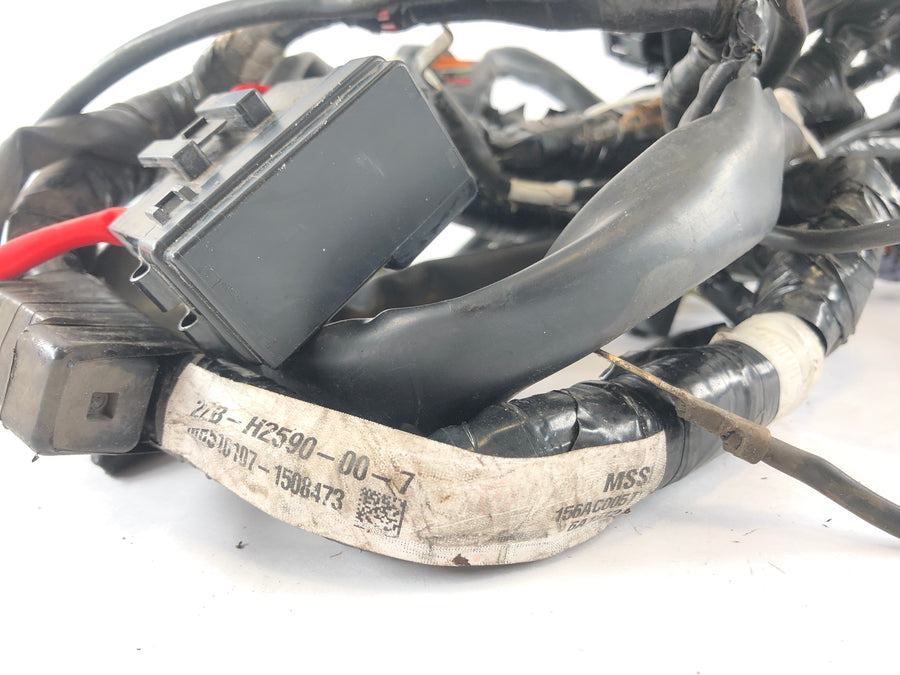 Yamaha WR 125 R DE07 [2016] - Arnés de cableado
