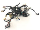 Yamaha XT 660 DM01 [2005] - Arnés de cableado-1
