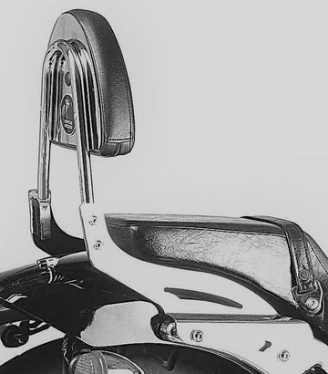 Honda VT 750 D2 Black Wido [2001-2003] - Sissybar sin puente de equipaje