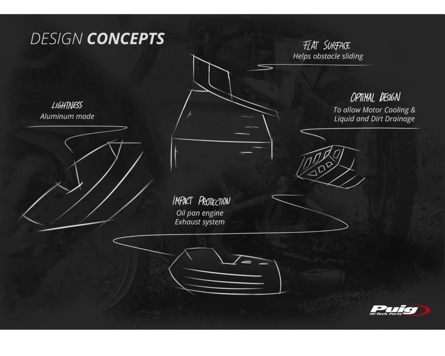 BMW F 900 GS [2025] – Protector de motor – Plata