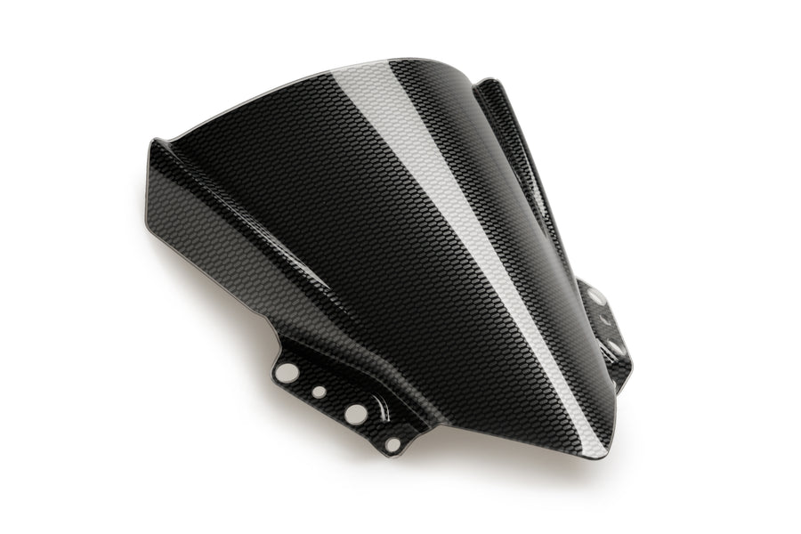 KAWASAKI NINJA 125 [2024] – Cúpula Z-Racing – Tintada