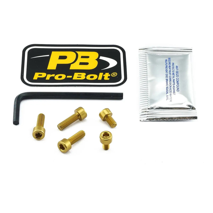 Kawasaki Versys 1000 [Pro Bolt]-Kit de tapa de combustible de aluminio