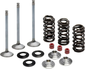 Yamaha LB 80 [KIBBLEWHITE] - Kit de resorte y válvula de conversión de entrada de acero inoxidable