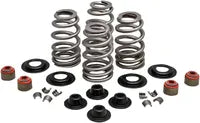 Harley-Davidson FLSTSE2 1800 Softail Convertible CVO [2011] - Endurance Beehive Ventilfedersatz für Screamin' Eagle Köpfe – Bild 12