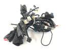 Yamaha WR 125 R DE07 [2016] - Arnés de cableado-1