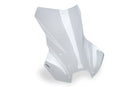 BMW R 1300 GS TROPHY [2025] – Cúpula Touring Plus – Transparente-19