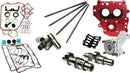 Harley-Davidson FLHRC 1450 Road King Classic [2004] - HP103 Nockenwellen-Kit – Bild 11