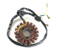 Husaberg Fe 501 [2002] - Estator alternador-1