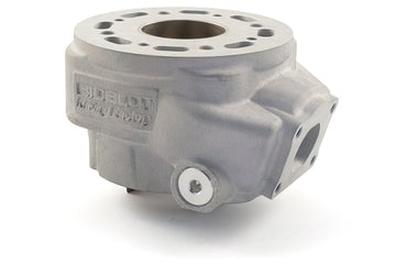 Beta RR Track 50 2T - kit de cilindros Racing RF50WR
