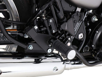 Kawasaki W 800 Street [2019-2025] -passion