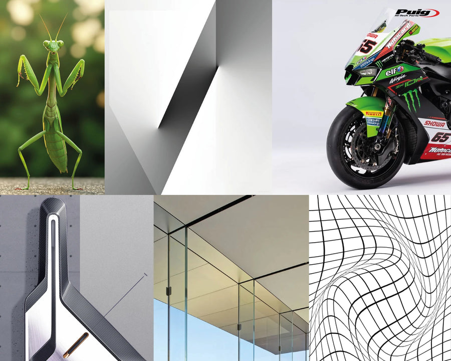 KAWASAKI Z 900 SE [2025] – Deportiva de nueva generación – Tintada