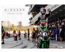 KAWASAKI ZX-10RR NINJA PERFORMANCE [2018] – Cúpula R-Racer – Tintada-11