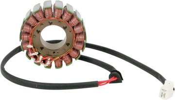ducati hypermotard 1100 [RICK'S MOTORSPORT ELECTRIC] - estator