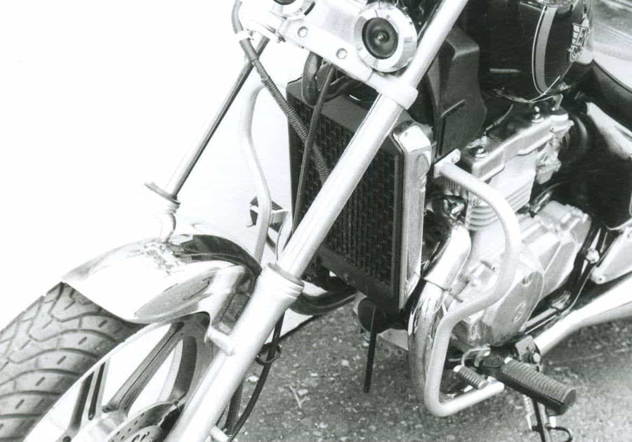 Kawasaki EN 500 [1990-1995] - barra de protección del motor