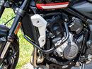 Triumph Trident 660 [2021-2024] - Soporte de protección del motor que incluye ProtectionPad-1
