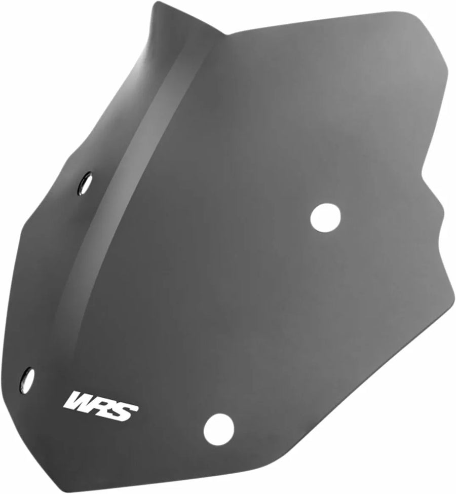 BMW R 1200 GS [WRS] - parabrisas