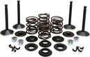 Pala Harley Davidson FX [KIBBLEWHITE] - Kit de válvulas del motor