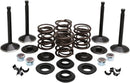 Pala Harley Davidson FX [KIBBLEWHITE] - Kit de válvulas del motor