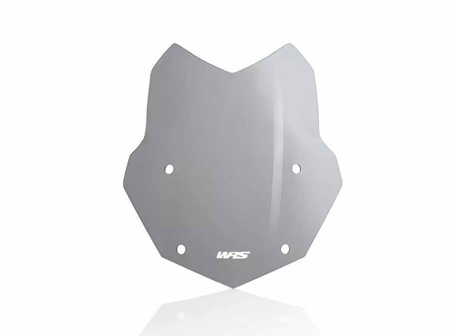 BMW R 1200 GS [WRS] - parabrisas