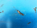 Kawasaki ZRX 1200 S ZRT20A [2003] - Parte media debajo del disfraz-3