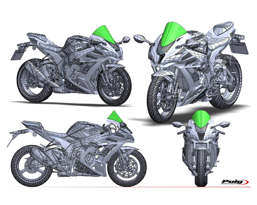 KAWASAKI ZX-10RR NINJA PERFORMANCE [2018] – Cúpula R-Racer – Tintada
