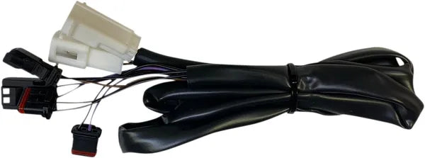 Harley Davidson Sportster [DINÁMICA PERSONALIZADA] – Luces traseras LED planas integradas ProBEAM® con indicadores adicionales