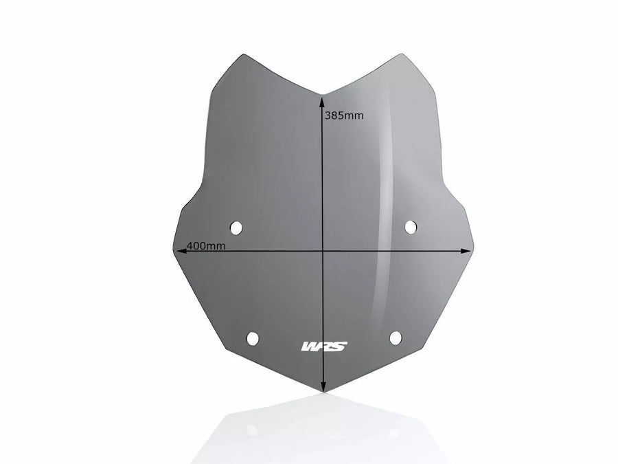 BMW R 1200 GS [WRS] - parabrisas