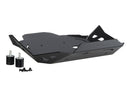 BMW R 1300 GS TROPHY [2025] - Protector de motor - Plata-7