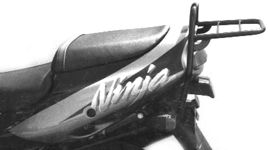 Kawasaki ZX-9 R Ninja [1994-1997] -Puente de Livgo