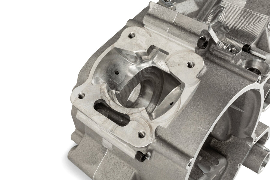 Beta RR SM 50 2T - Carcasa motor TPR Factory FL100