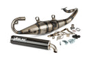 Aprilia SR Netscaper 50 2T LC - Auspuff R Carbon
