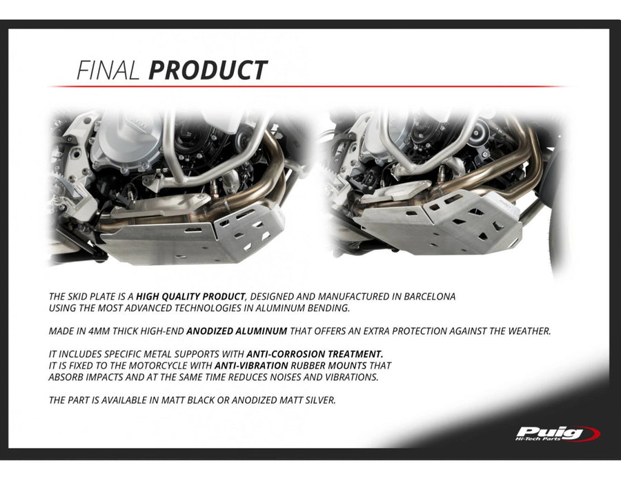 BMW F 900 GS [2025] – Protector de motor – Plata