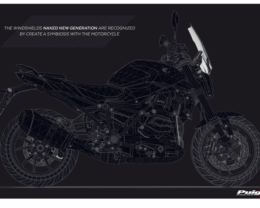 BMW R 1250 R [2025] – Nueva Generación Deportiva – Tintada