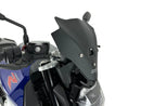 BMW F 900 R [WRS] - parabrisas-4