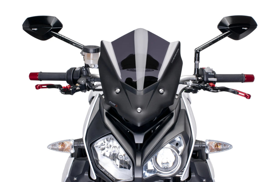 BMW S 1000 R [2018] – Nueva generación deportiva – Aspecto carbono