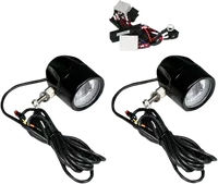 Harley-Davidson FLRT 1868 Freewheeler 114 [2022] - Luces antiniebla LED de 4-1/2" - imagen 11