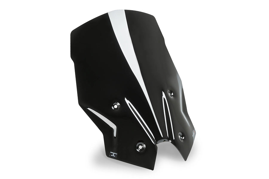 BMW R 1250 RS [2025] - Pantalla Touring Plus | Negro | PUIG 7617N