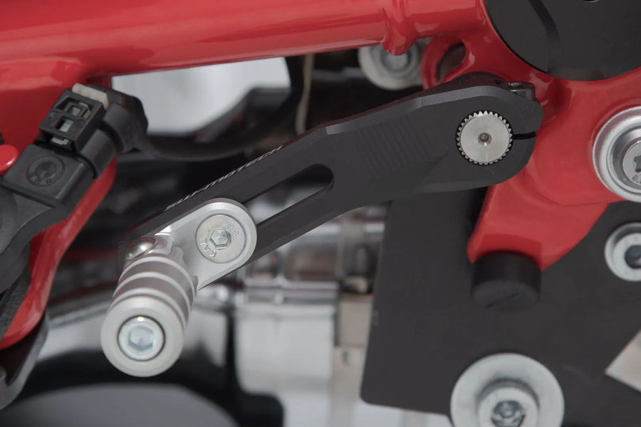 bmw r 12 g [SW-MOTECH] – palanca de cambios