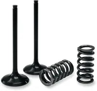 GAS GAS EC 450 [PROX] – conjunto válvula y muelle