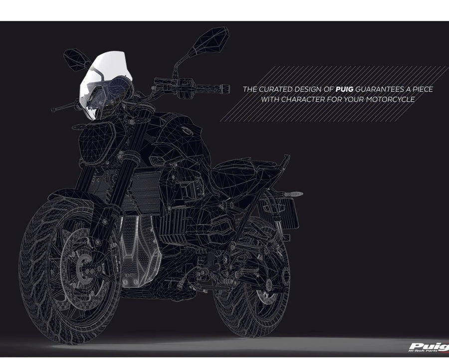 BMW R 1250 R [2025] – Nueva Generación Deportiva – Transparente