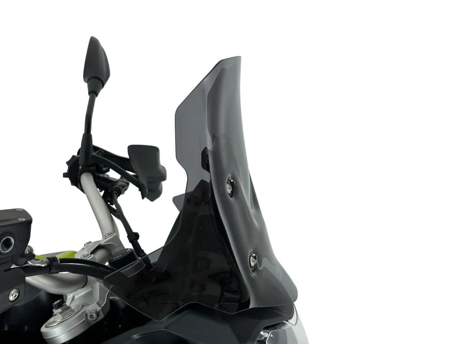 BMW F 900 GS [WRS] – Parabrisas
