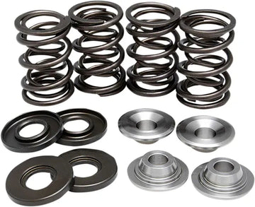 BMW R 75/6 [KIBBLEWHITE] – Kit de resorte de válvula