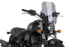 INDIAN CHIEF DARK HORSE [2021] – Daytona III – Transparente-5