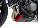 Triumph Tiger Sport 660 [2022-2025] - Placa de protección del motor-4