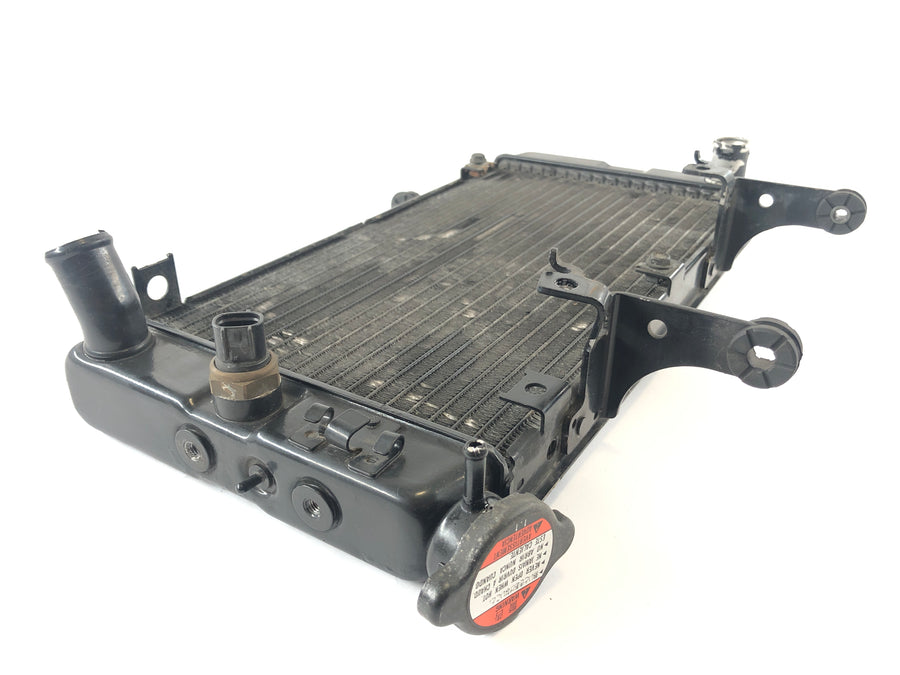 Suzuki DL 1000 V -strom [2006] - enfriador de agua fría