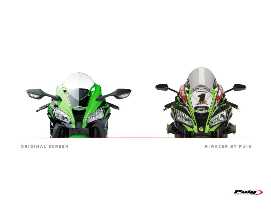 KAWASAKI ZX-10RR NINJA PERFORMANCE [2018] – Cúpula R-Racer – Tintada