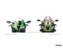 KAWASAKI ZX-10RR NINJA PERFORMANCE [2018] – Cúpula R-Racer – Tintada-25
