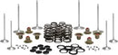 Harley-Davidson FLHTCUTG 1868 Tri Glide Ultra 114 [2023-2024] - Titanium Ventilfederhalter-Kit – Bild 5